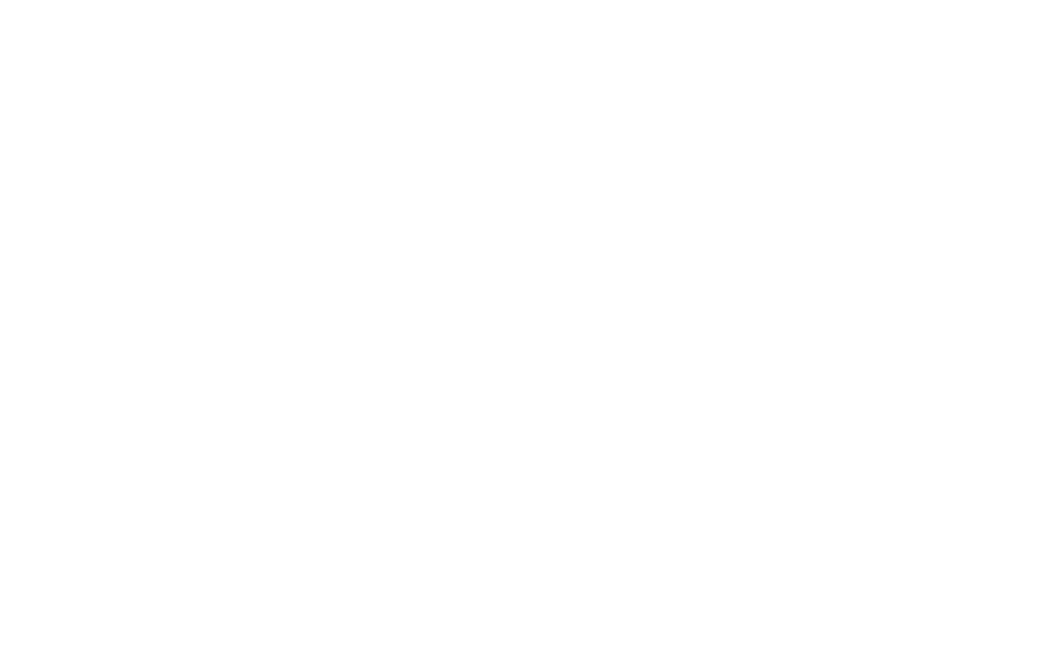 acerlogo