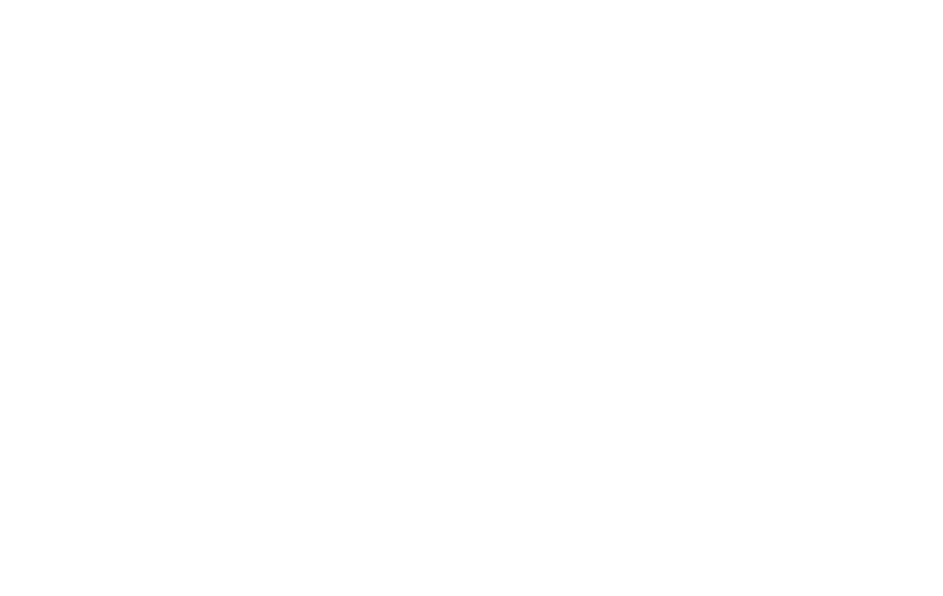 kulzer
