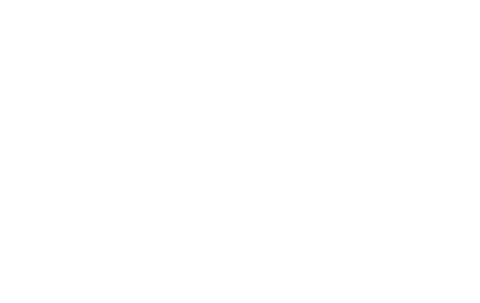 raizen